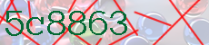 5c8863